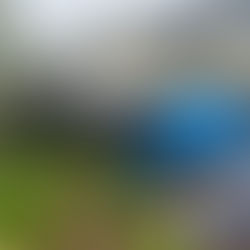 Italian Feast: The full Italian experience by Antimo Pizza Chef for Maddy's Bridal Shower