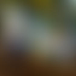 Enchanted at 21 ✨ Ella's 21st Birthday Pizza Party in Hampton