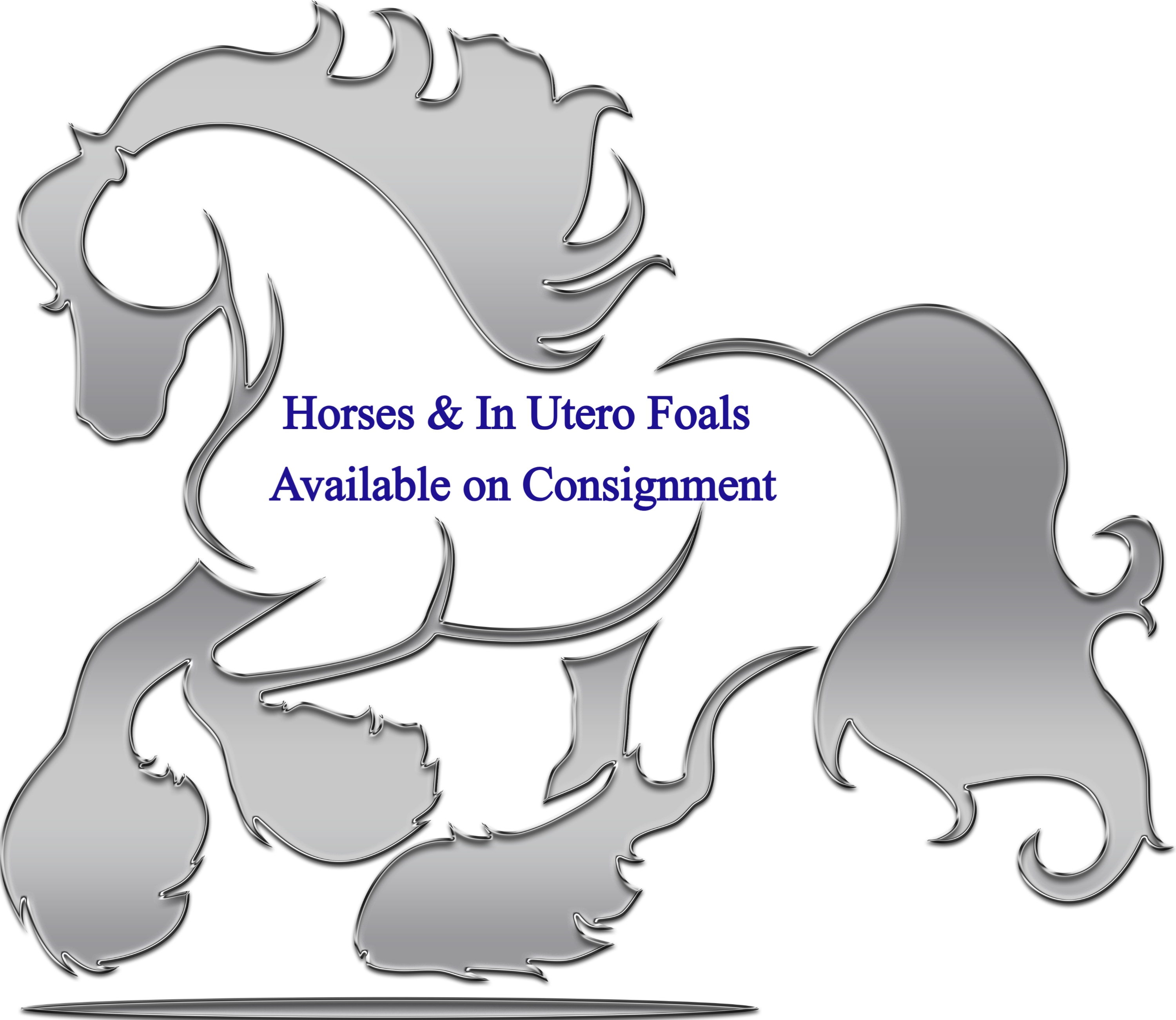 Horse and In Utero Horses on Consignment  $50Deposit