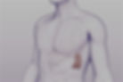 Blood Filter: The Spleen
