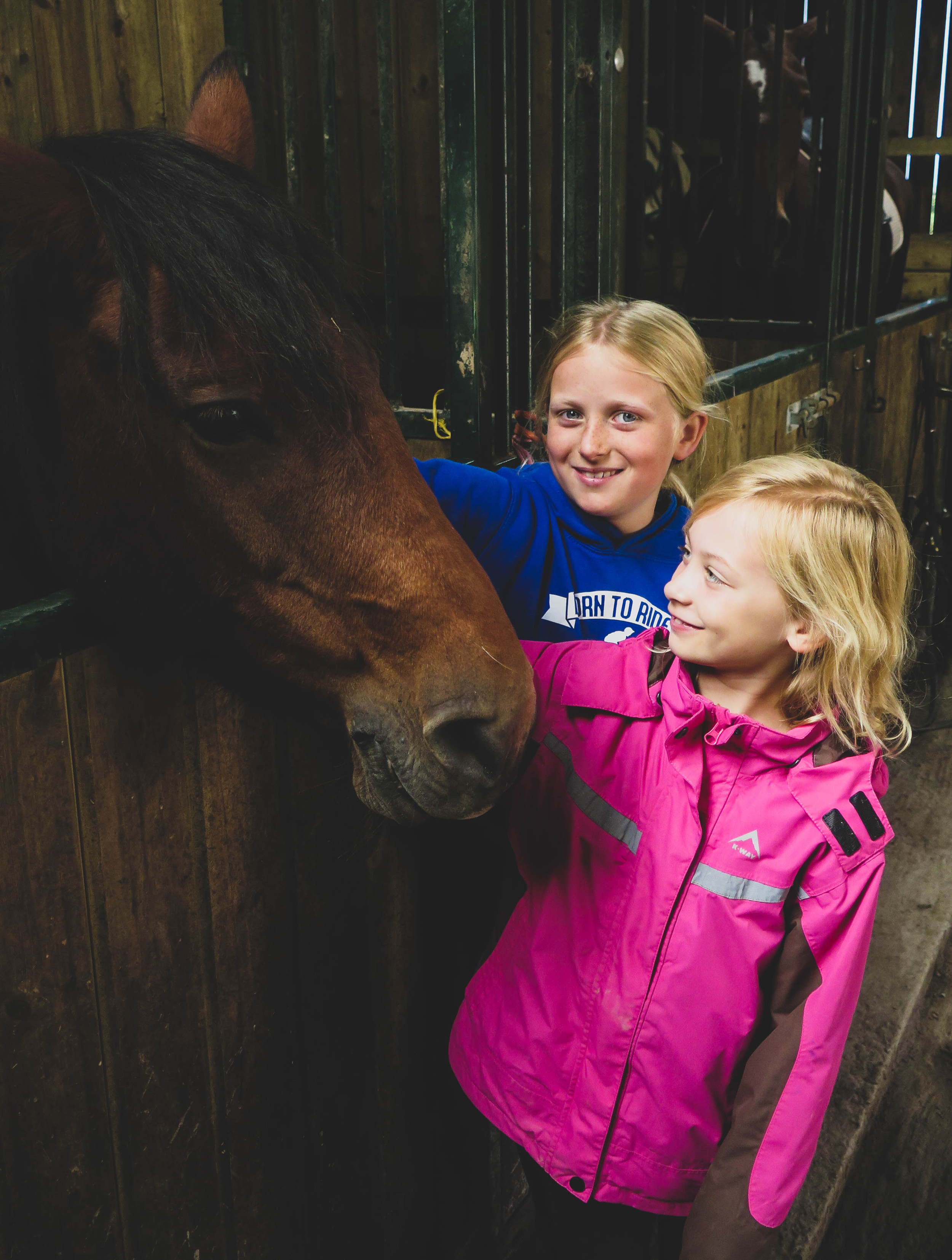 Day at the Stables Riding Stables