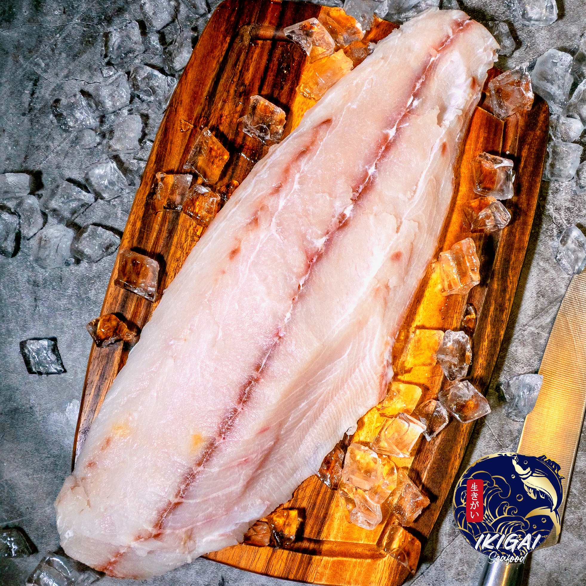 ปลาช่อนทะเลฟินเล่ย์