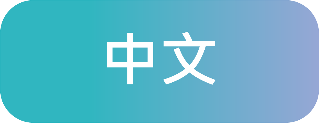 中文