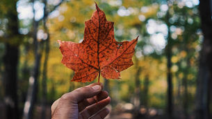Hopes for Canada