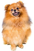 A1 Images Portrait (6)_edited.jpg