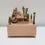 Thumbnail: Train Wooden Music Box
