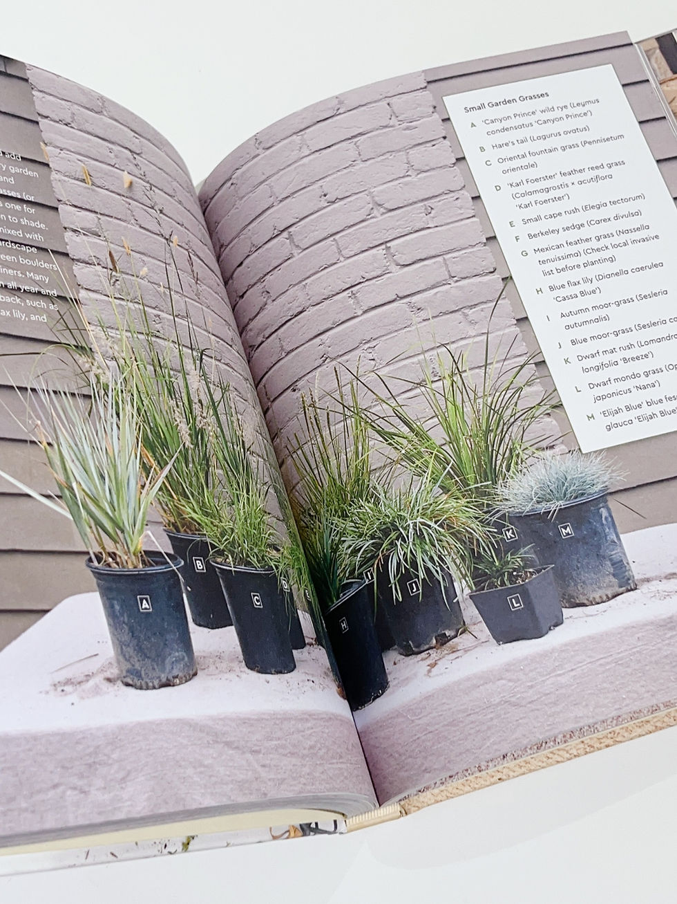 Thumbnail: Small Garden Style
