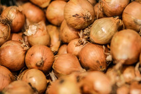 obst-bramlage-apfel-visbek (11 von 14).jpg