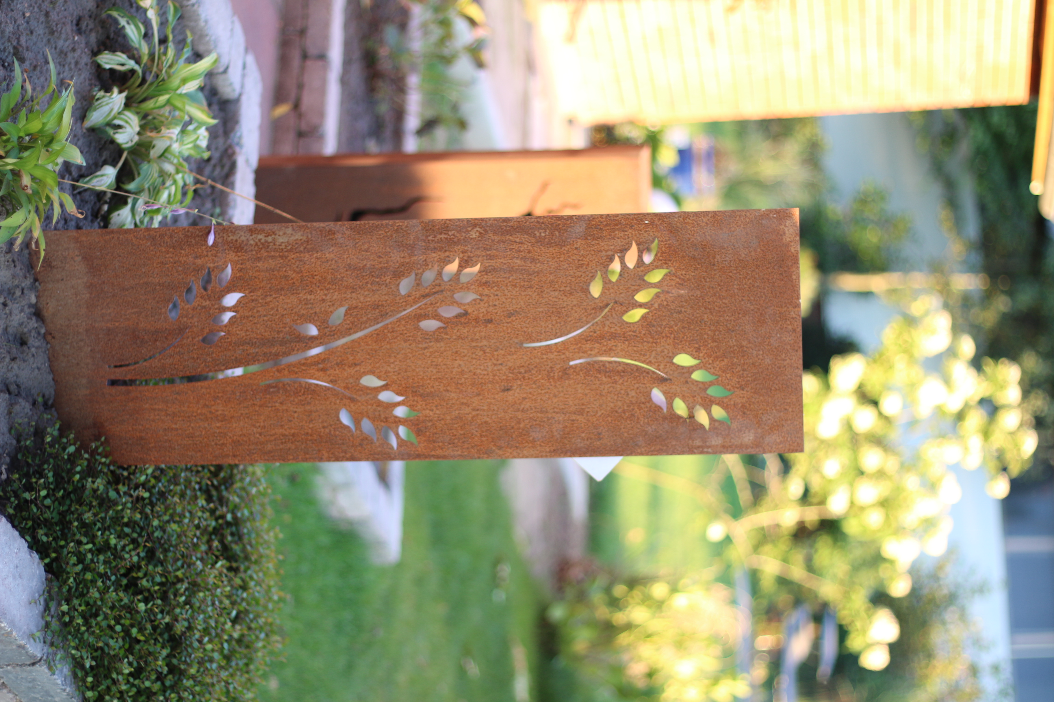 Schild