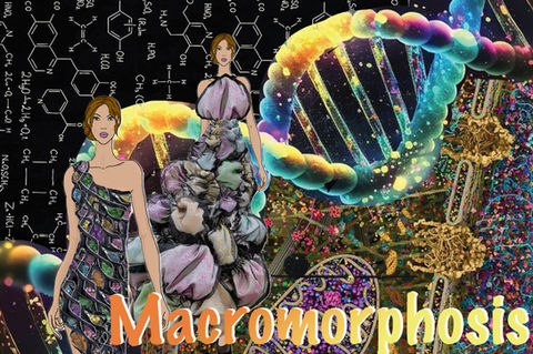 Macromorphosis