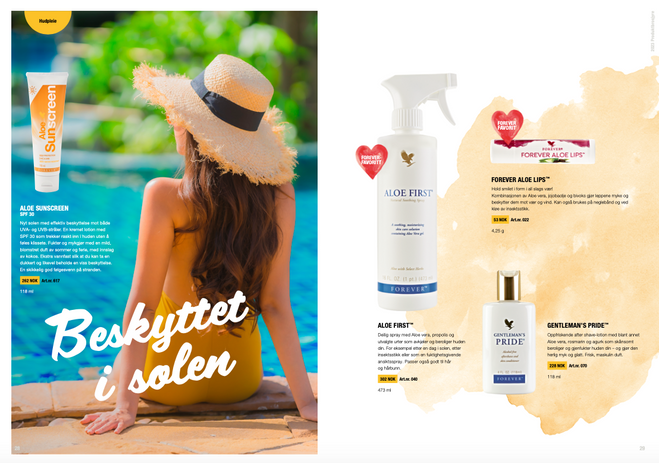 Skjermbilde 2023-04-13 kl. 19.34.39.png