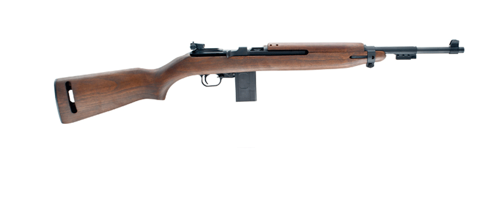 CHIAPPA ARMS M1-22