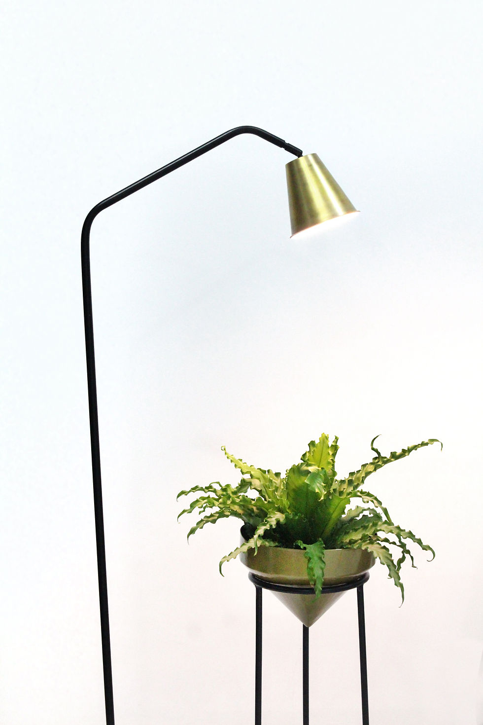 Miniatura: Lámpara STATIV GOLD