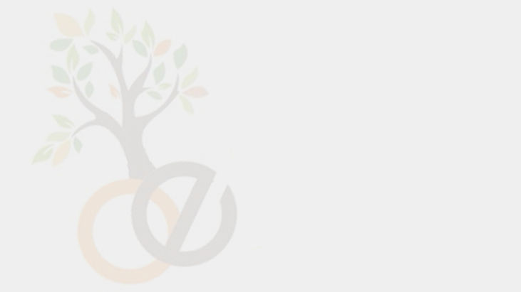 Outdoor-Expressions-Property-Maintenance-Logo-Background