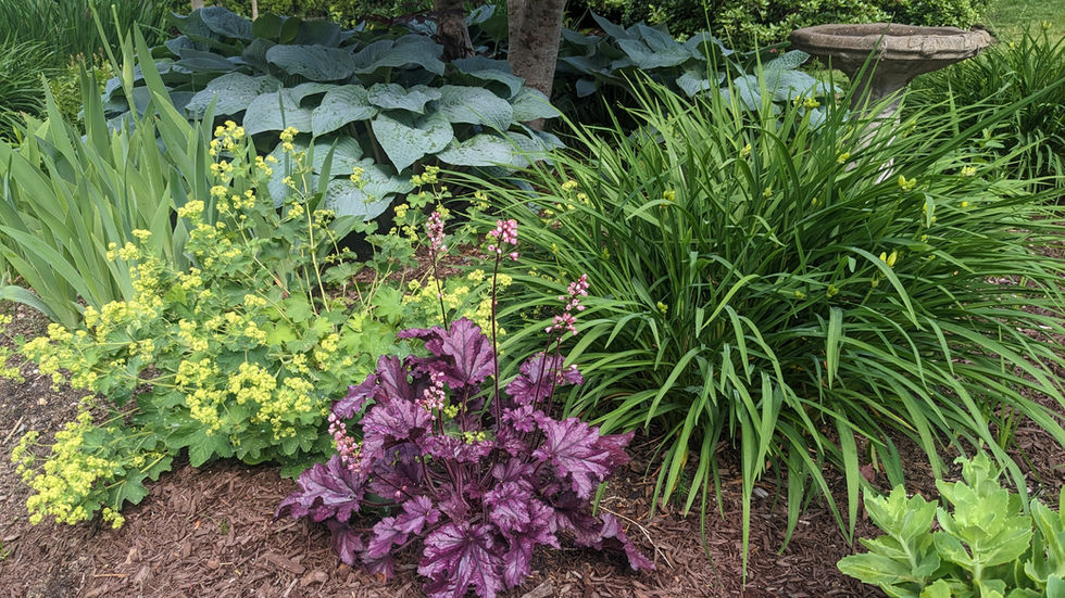 Designing A Shade Garden