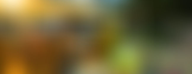 Lancement des appels à candidatures - Bars éphémères et Marchés semi-nocturnes