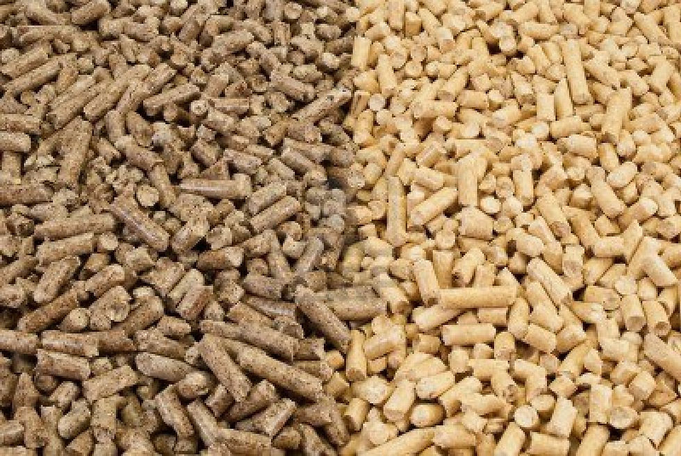 Pellet 2.jpg