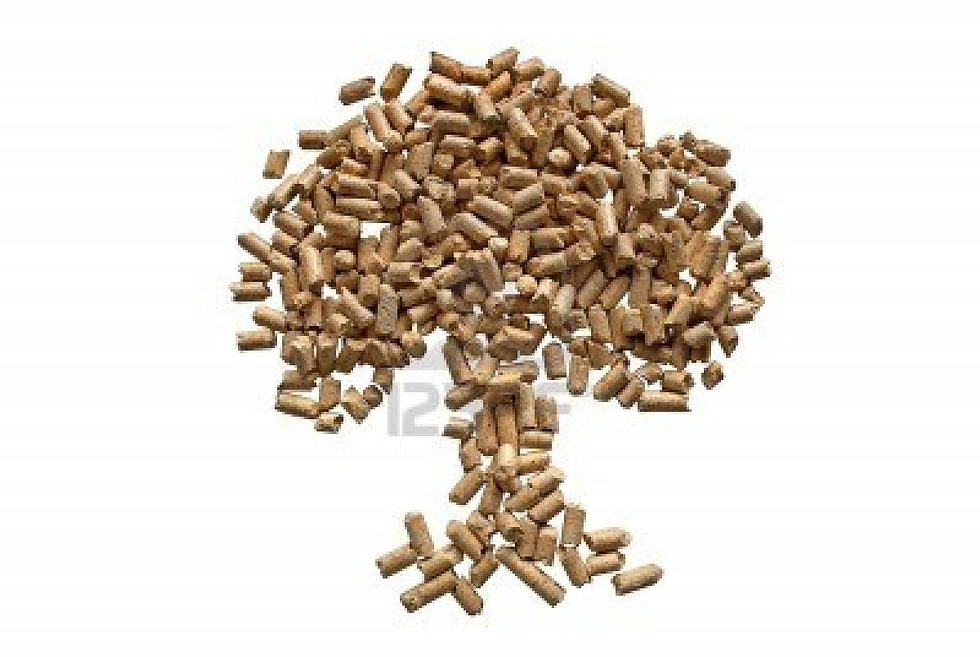 pellet 5.jpg