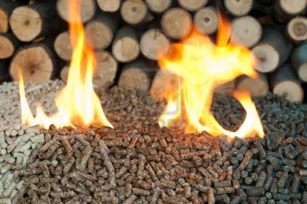 pellet 6.jpg