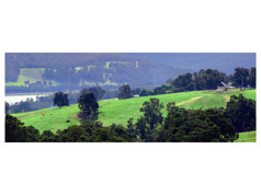 Farm Land