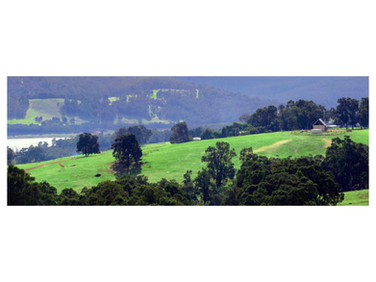 Farm Land