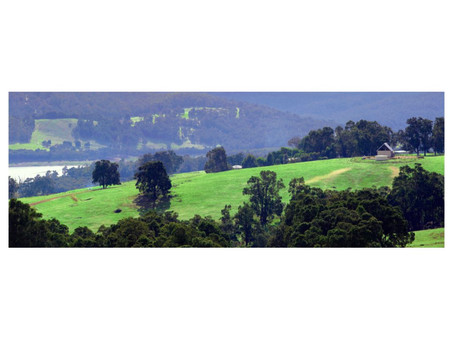 Farm Land