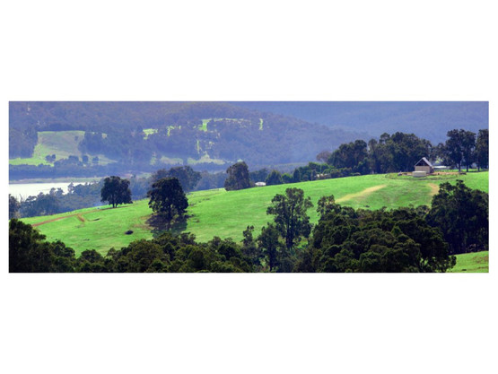 Farm Land