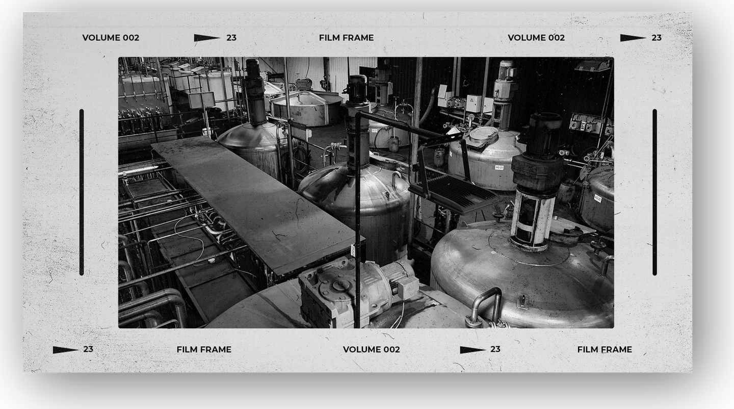Film Frame Analog V.8_09_01