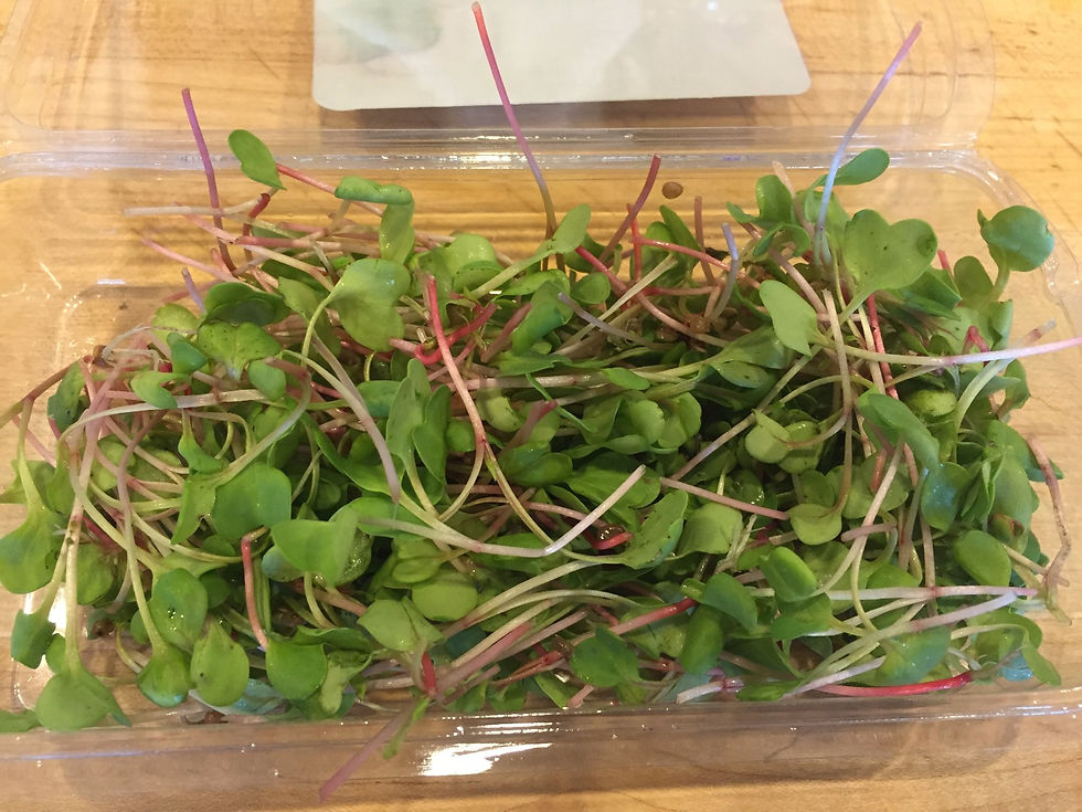Thumbnail: Radish Microgreens