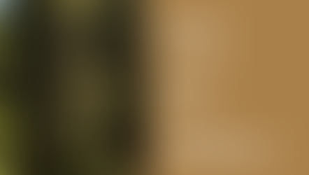 Mesmo setor. Mesmo país. Valores diferentes.