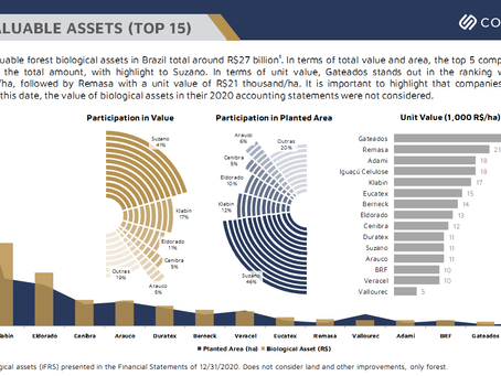Most Valuable Forest Biological Assets - Brazil