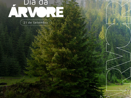 Dia da Árvore | 2023