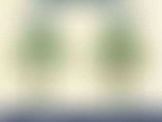 Você sabia que existe Araucária macho e fêmea?