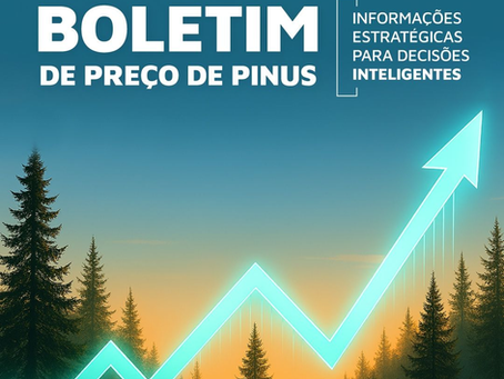 Boletim de Preços de Madeira de Pinus | Assine Já