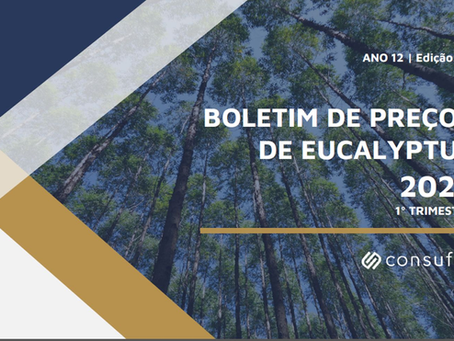 Boletim de Preços de Madeira | Pinus
