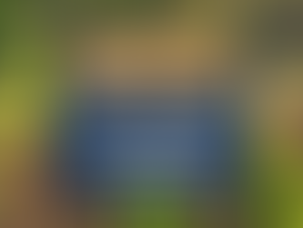 O valor do ativo florestal vai muito além do preço da madeira.