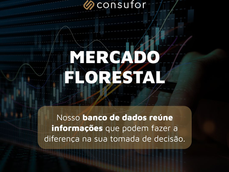Inteligência de Mercado | Setor Florestal