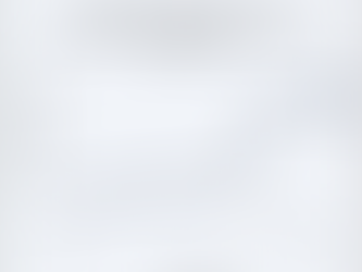 Uma Década de Alta: O Avanço do Mercado de Madeira de Pinus no Brasil