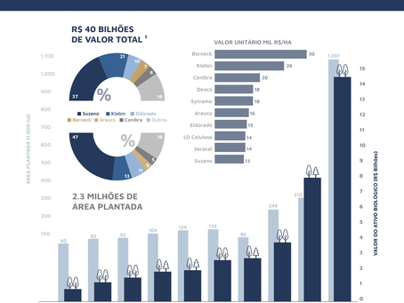 Ativos Florestais Mais Valiosos do Brasil