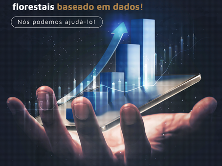 Planeje seus investimentos florestais baseado em dados