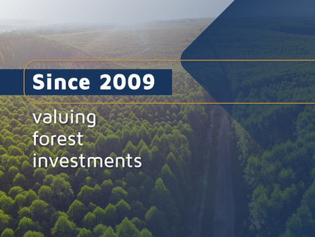 Since 2009 Valuing Forest Investments