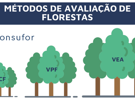 Métodos de Avaliação Econômica de Florestas Plantadas
