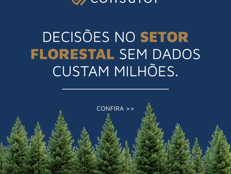 Decisões no setor florestal sem dados, custam milhões
