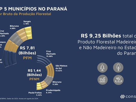 Valor Bruto da Produção Florestal | Top 5 Municípios no Paraná