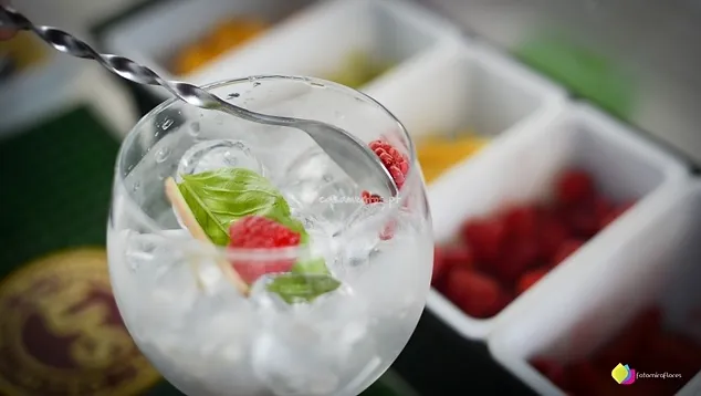 Receitas Gin Tonico Pt Receitas Gin Tonico Pt