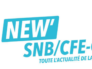 NEWSLETTER Janvier 2026