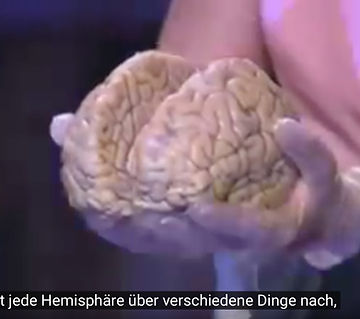 Ted Talk My stroke of insight