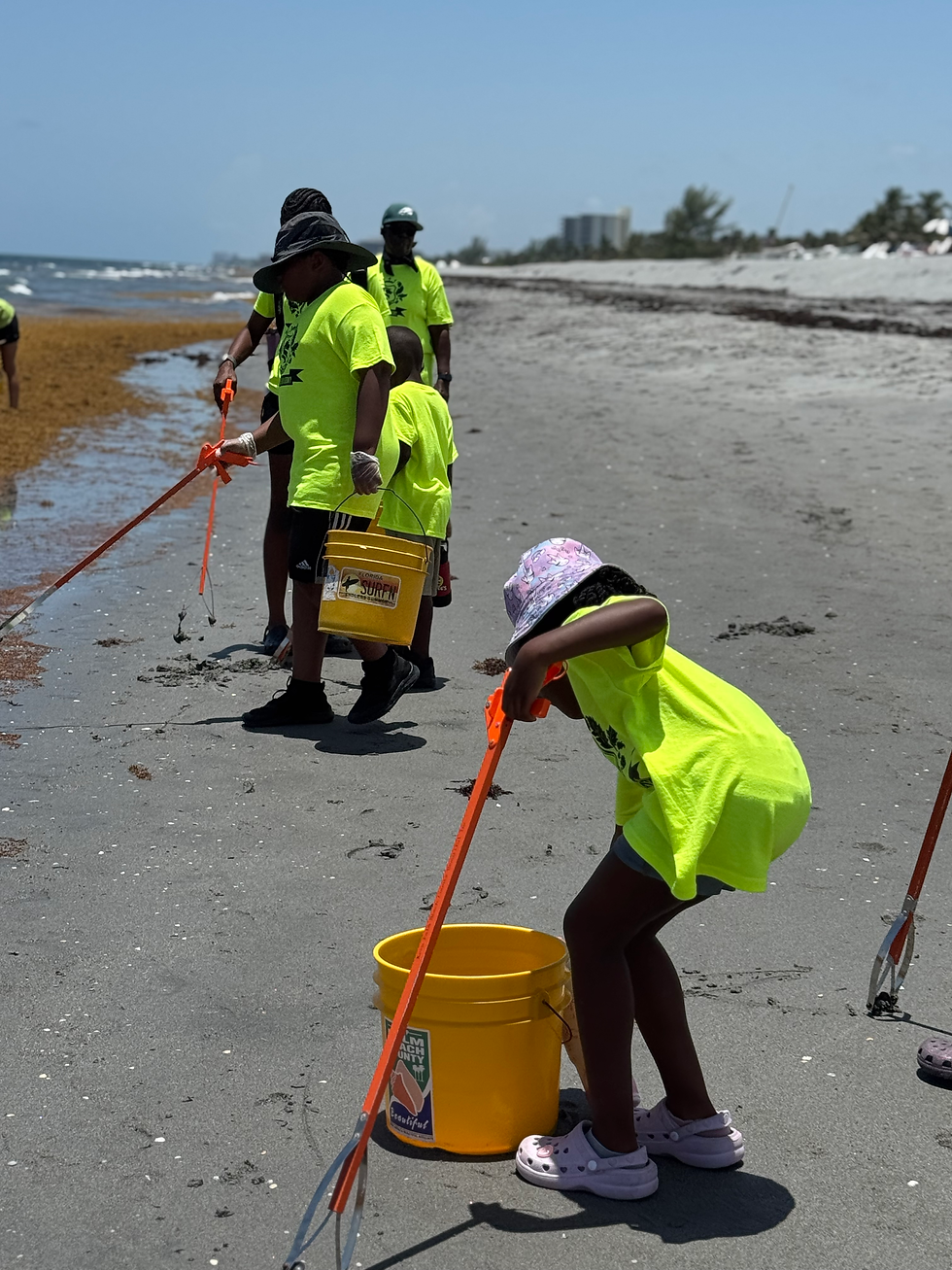 Climate Week Beach Cleanup