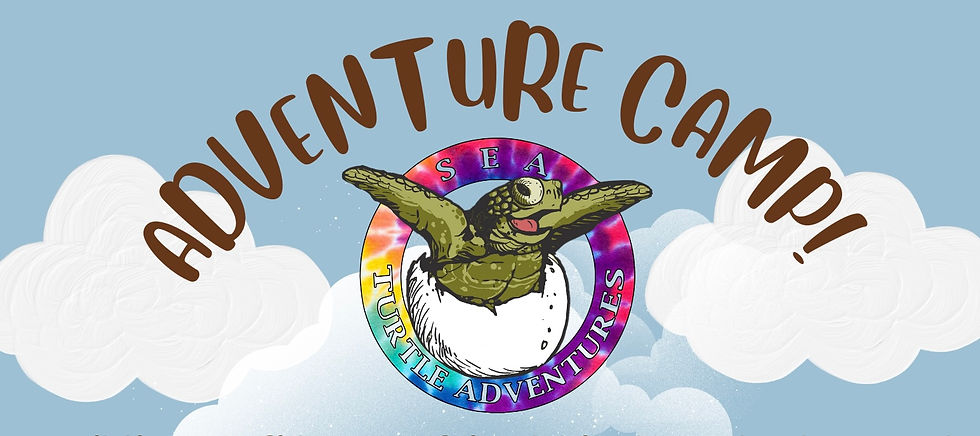 Adventure Camp for Special Needs Adults!