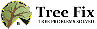 tf_logo.gif